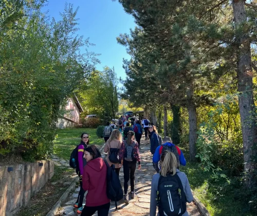 1. Team building